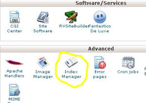 choose-index-manager